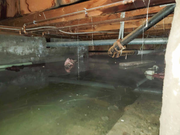 Best 24/7 water damage repair  in Azle, TX