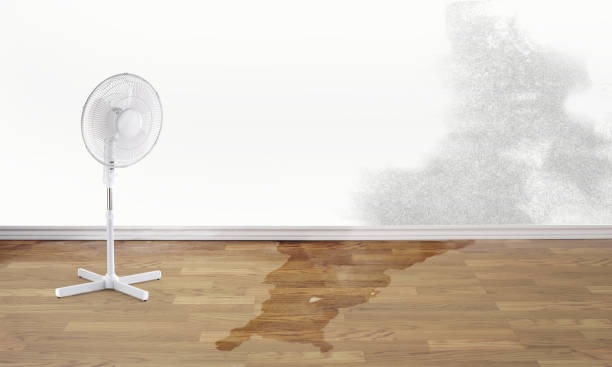Best Ceiling water damage repair  in Azle, TX