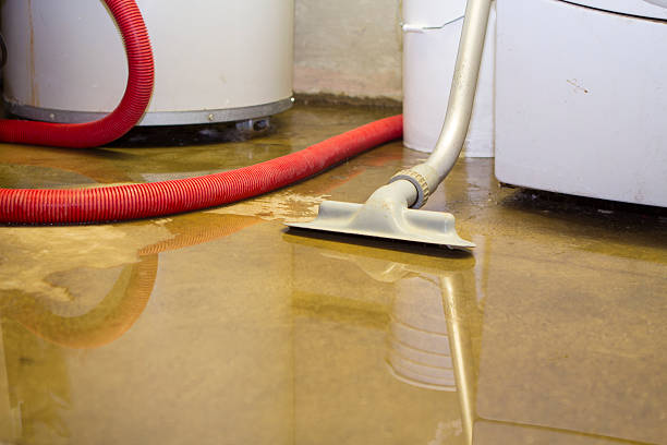 Best Local water damage restoration  in Azle, TX