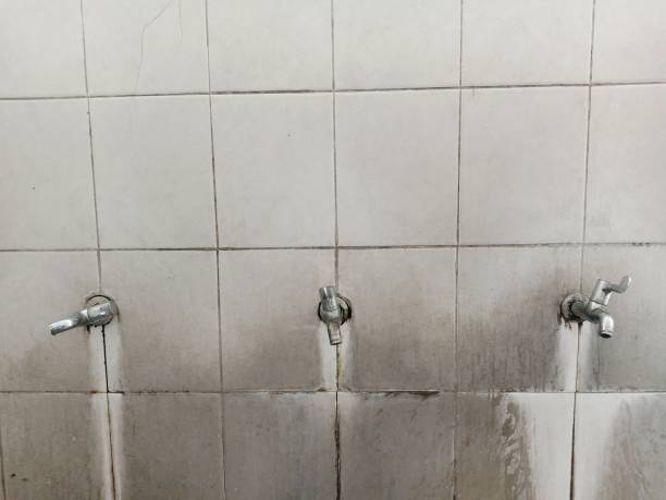 Best Ceiling water damage repair  in Azle, TX