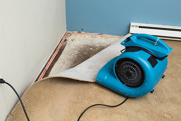 Best Residential water damage restoration  in Azle, TX